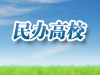 民办高校